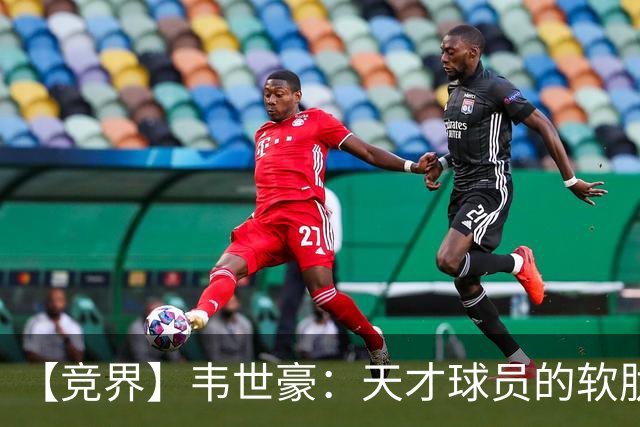 【竞界】韦世豪：天才球员的软肋 洪七公效应的外溢
